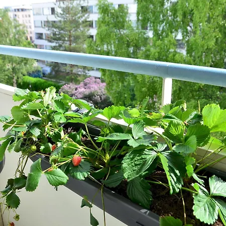 Appartement Oulu Hotelli Apartments *