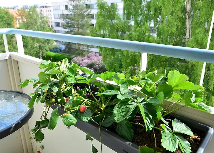 דירה Oulu Hotelli Apartments *